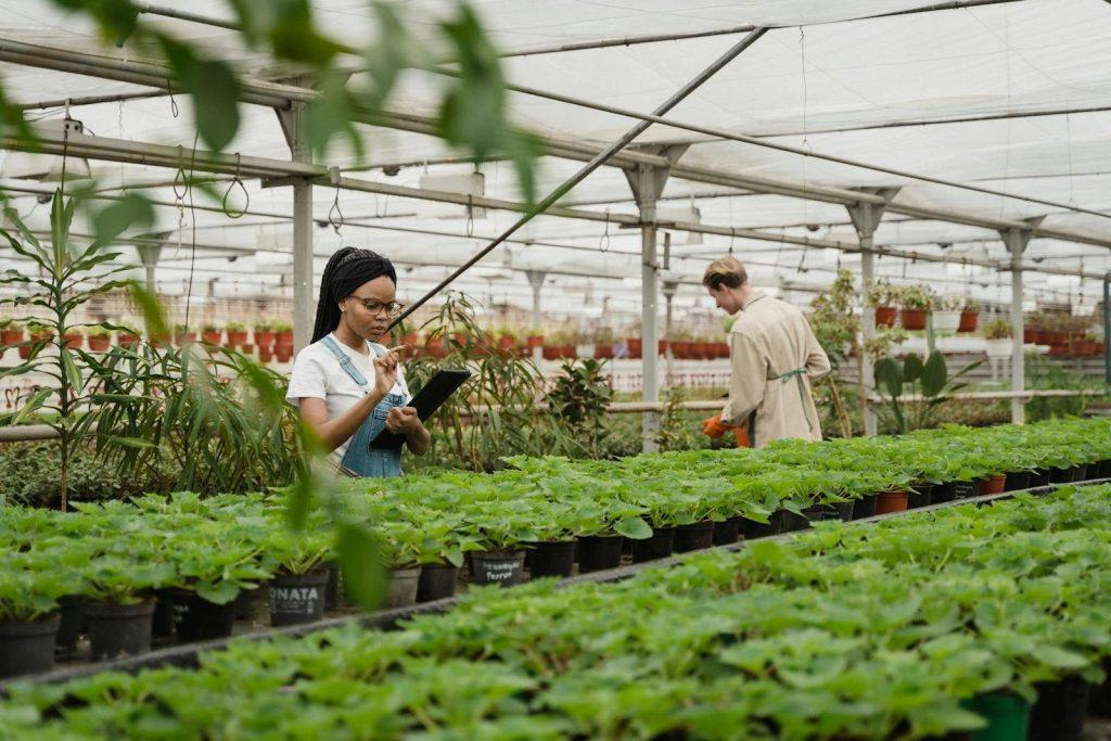 Smart Agiculture